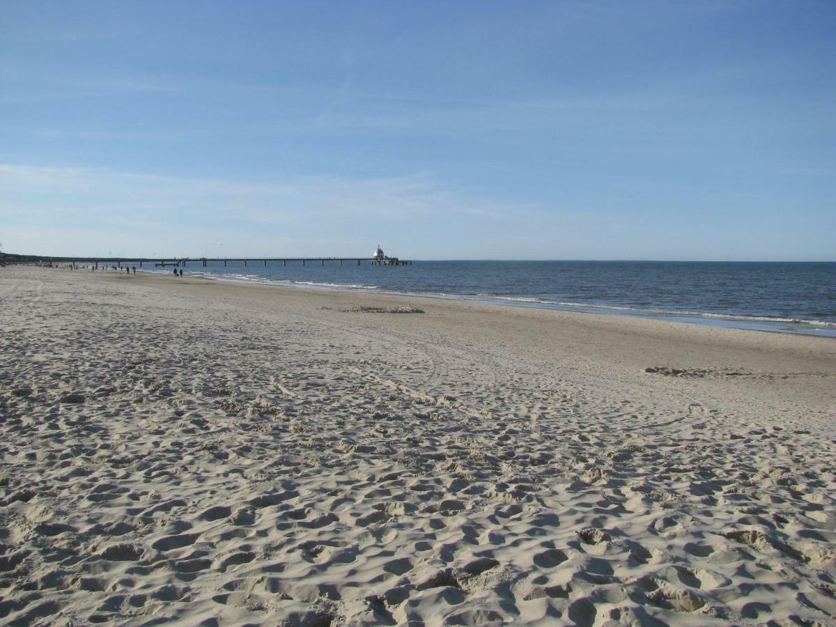 2 Ferienwohnungen Mitten In Der Innenstadt Greifswald Exterior photo
